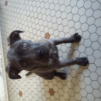 Photo #278454 de BONNIE
