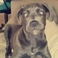 Photo #278455 de BONNIE