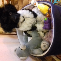 Photo #278607 de Oly