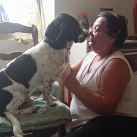 Photo #278696 de FILOU