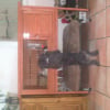 Photo #278773 de CALI