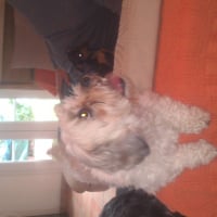 Photo #278782 de MONA