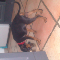 Photo #278785 de KENZO