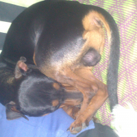 Photo #278786 de KENZO