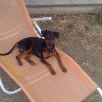 Photo #278787 de KENZO