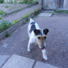 Photo #278797 de gispy