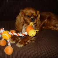 Photo #278799 de IZA