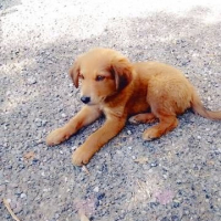 Photo #278808 de LUCKY