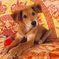 Photo #278809 de LUCKY