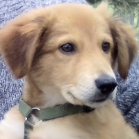 Photo #278810 de LUCKY
