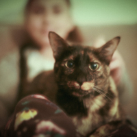 Photo #278812 de Madame Boucane (Fournier)