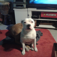 Photo #278857 de NAWAK