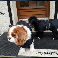 Photo #278873 de Gaïa