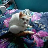 Photo #278982 de CACAHUETE