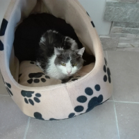 Photo #278983 de BEBINETTE