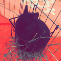 Photo #279100 de Tchoupie