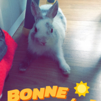 Photo #279103 de Bounty
