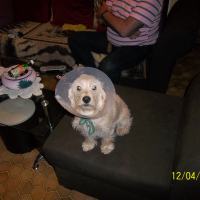 Photo #279166 de perle