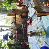 Photo #279178 de patoche 