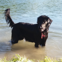 Photo #279437 de Calypso
