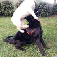 Photo #279438 de Calypso