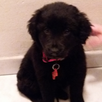 Photo #279439 de Calypso