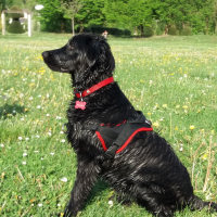 Photo #279442 de Calypso