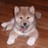 Photo #279464 de Yoko