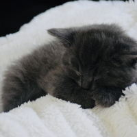 Photo #279470 de Rio
