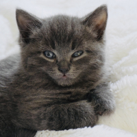 Photo #279471 de Rio