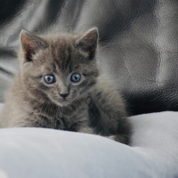 Photo #279472 de Rio