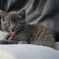 Photo #279474 de Rio