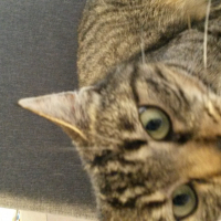 Photo #279514 de Maxou 