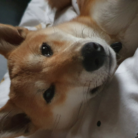 Photo #279585 de Ryû
