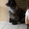 Photo #279897 de Flavie