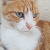 Photo #279904 de Lilou