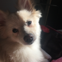 Photo #279914 de Princesse 