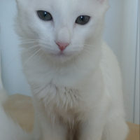 Photo #279943 de Ria
