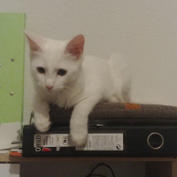 Photo #279944 de Ria