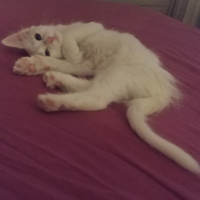 Photo #279945 de Ria