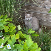 Photo #279969 de Gabin