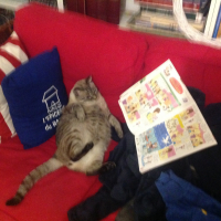Photo #279980 de Lucky