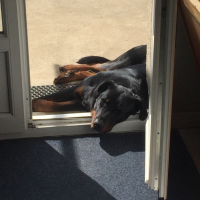 Photo #280010 de Zazou 