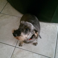 Photo #280093 de daiko