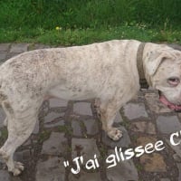 Photo #280112 de DeeDee