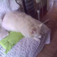Photo #280133 de Keira