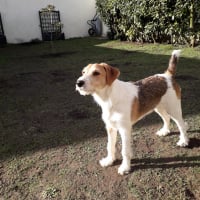 Photo #280262 de ruby