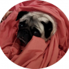 Photo #280294 de Maya 
