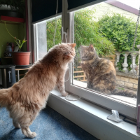 Photo #280403 de Caramel