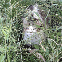 Photo #280530 de MA MINETTE